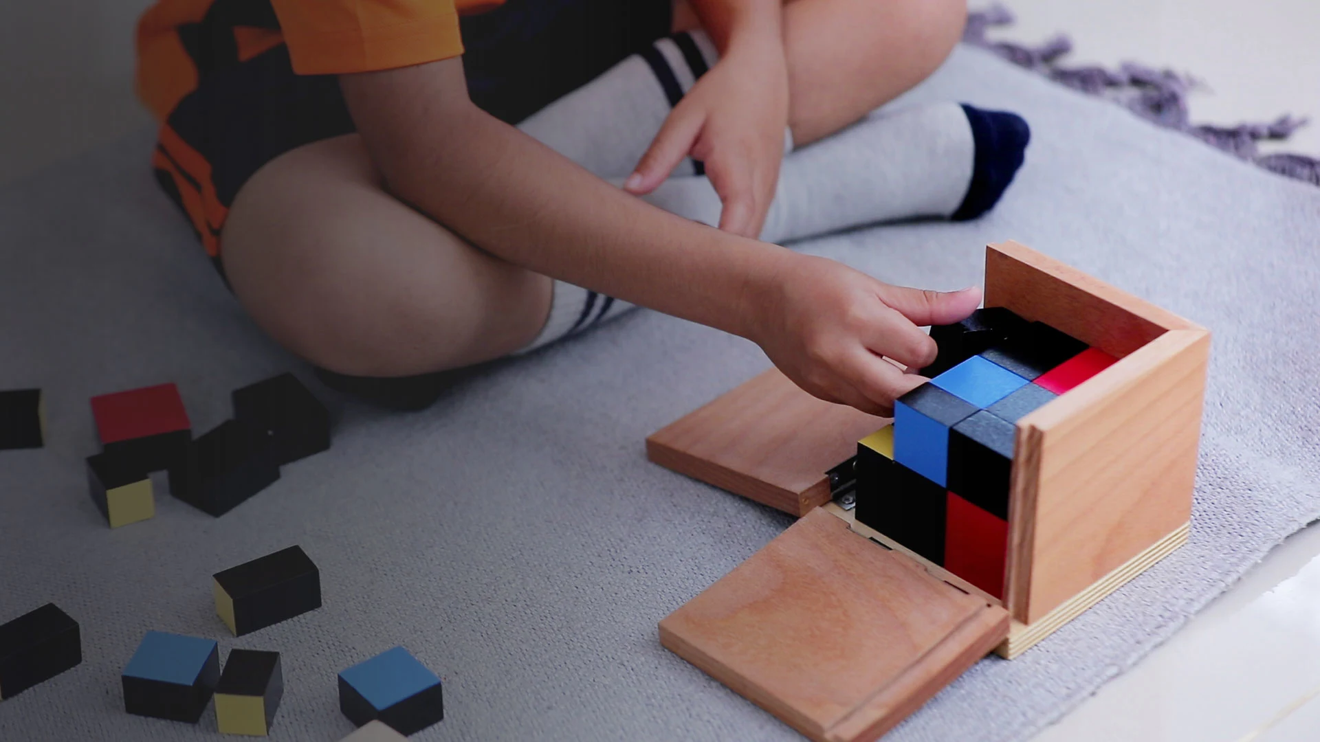 CBSE-Schools-Near-Me-Why-These-Searches-Are-Rising